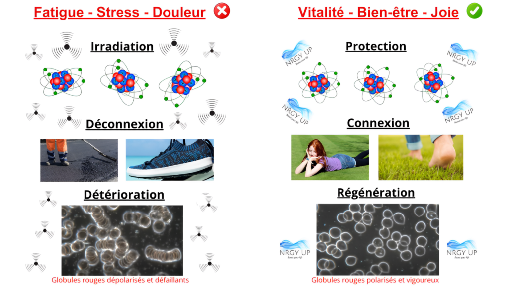 nrgy up vitalité ondes globules rouges polarisation